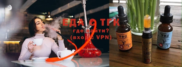 индика Бронницы