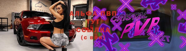 индика Бронницы