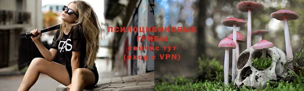 индика Бронницы