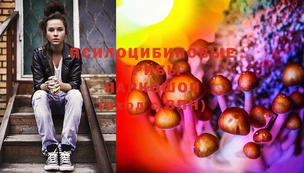 индика Бронницы
