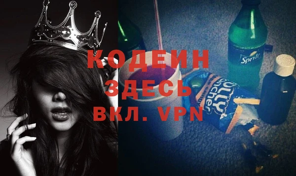 индика Бронницы