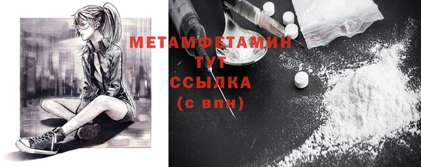 индика Бронницы