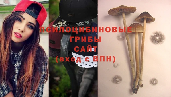 COCAINE Бородино