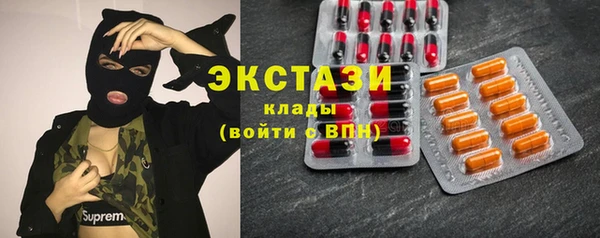индика Бронницы